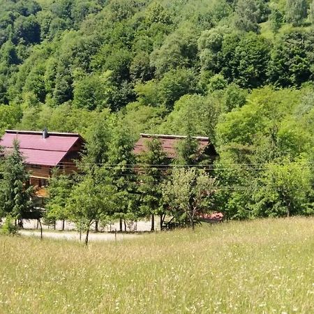 Pensiunea Simina Viseu de Jos Bagian luar foto