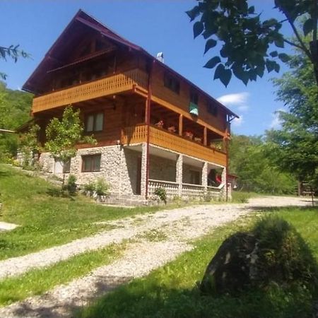 Pensiunea Simina Viseu de Jos Bagian luar foto