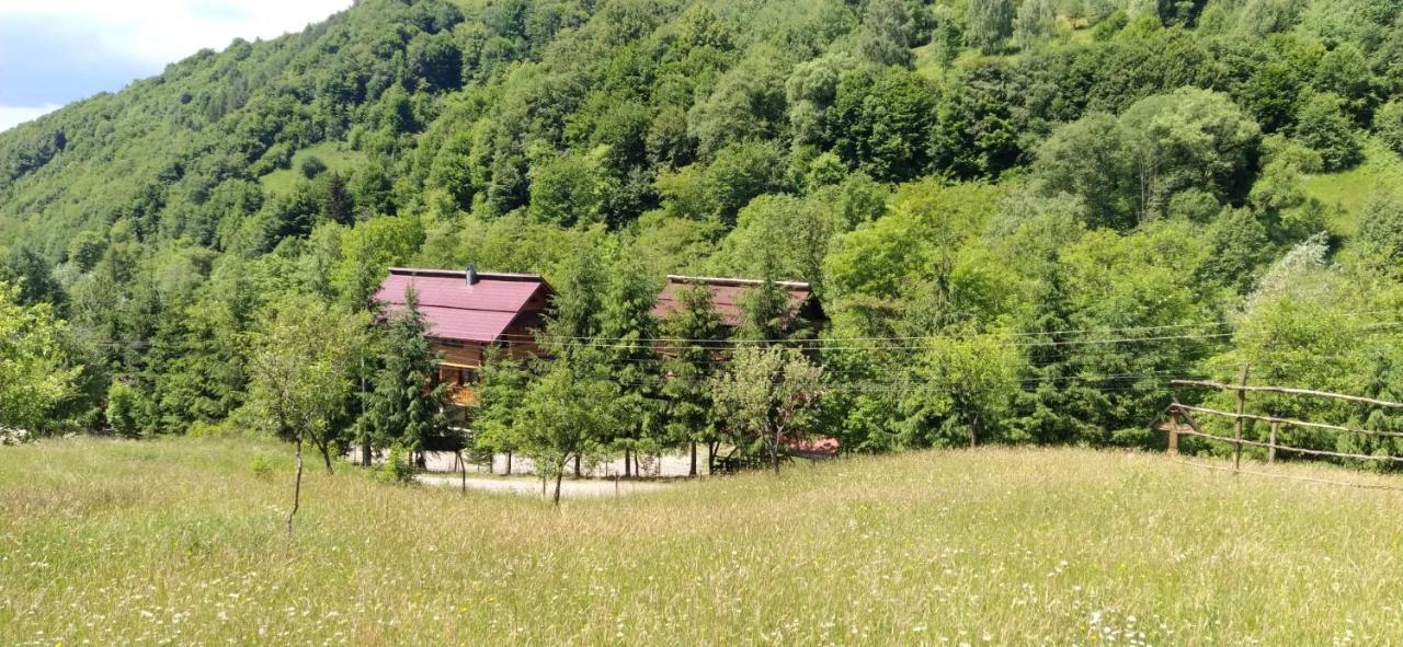 Pensiunea Simina Viseu de Jos Bagian luar foto