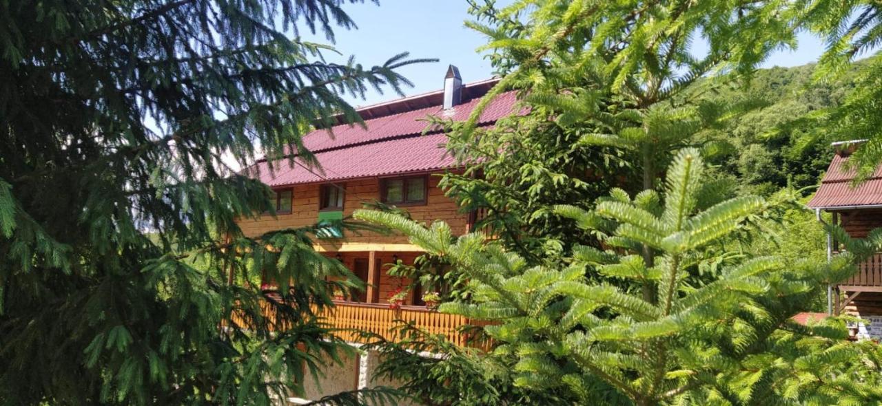 Pensiunea Simina Viseu de Jos Bagian luar foto