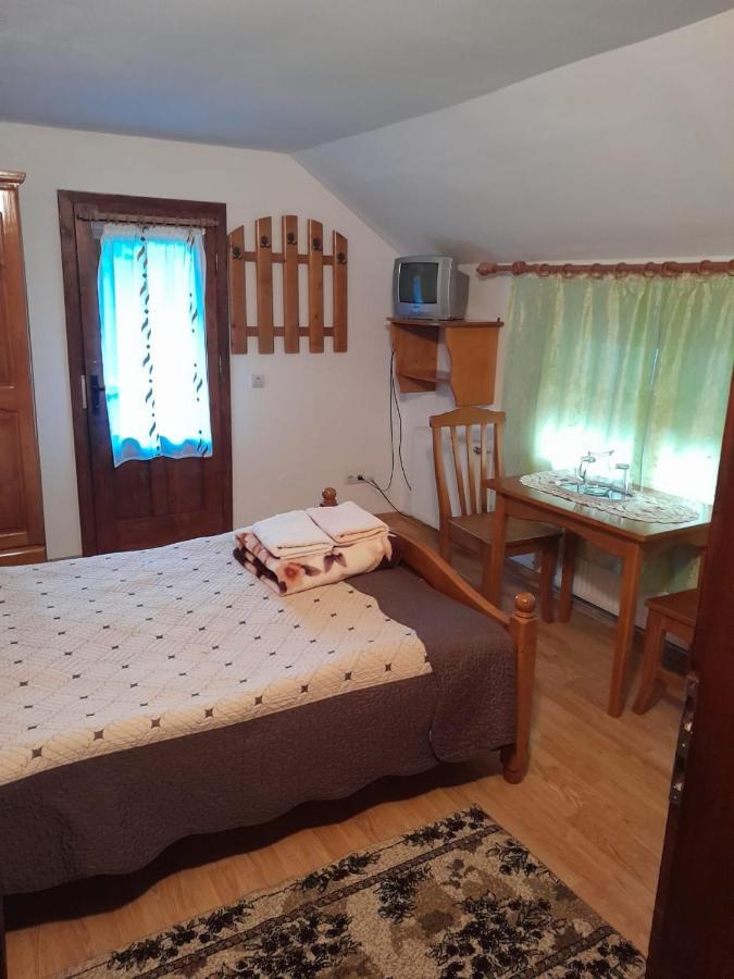 Pensiunea Simina Viseu de Jos Bagian luar foto