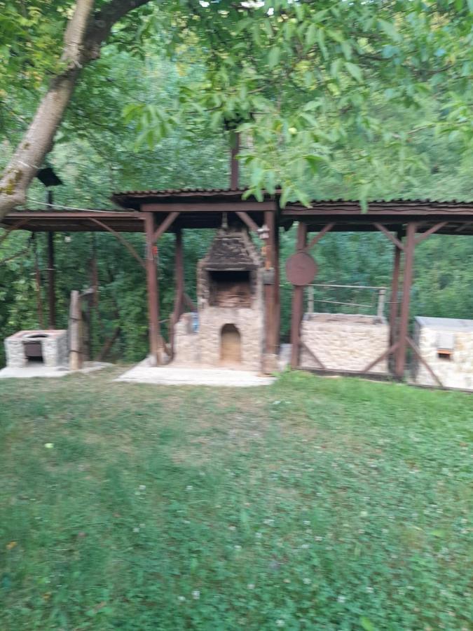 Pensiunea Simina Viseu de Jos Bagian luar foto