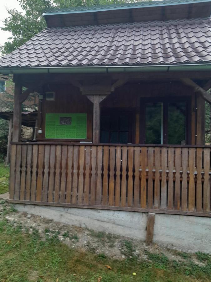 Pensiunea Simina Viseu de Jos Bagian luar foto